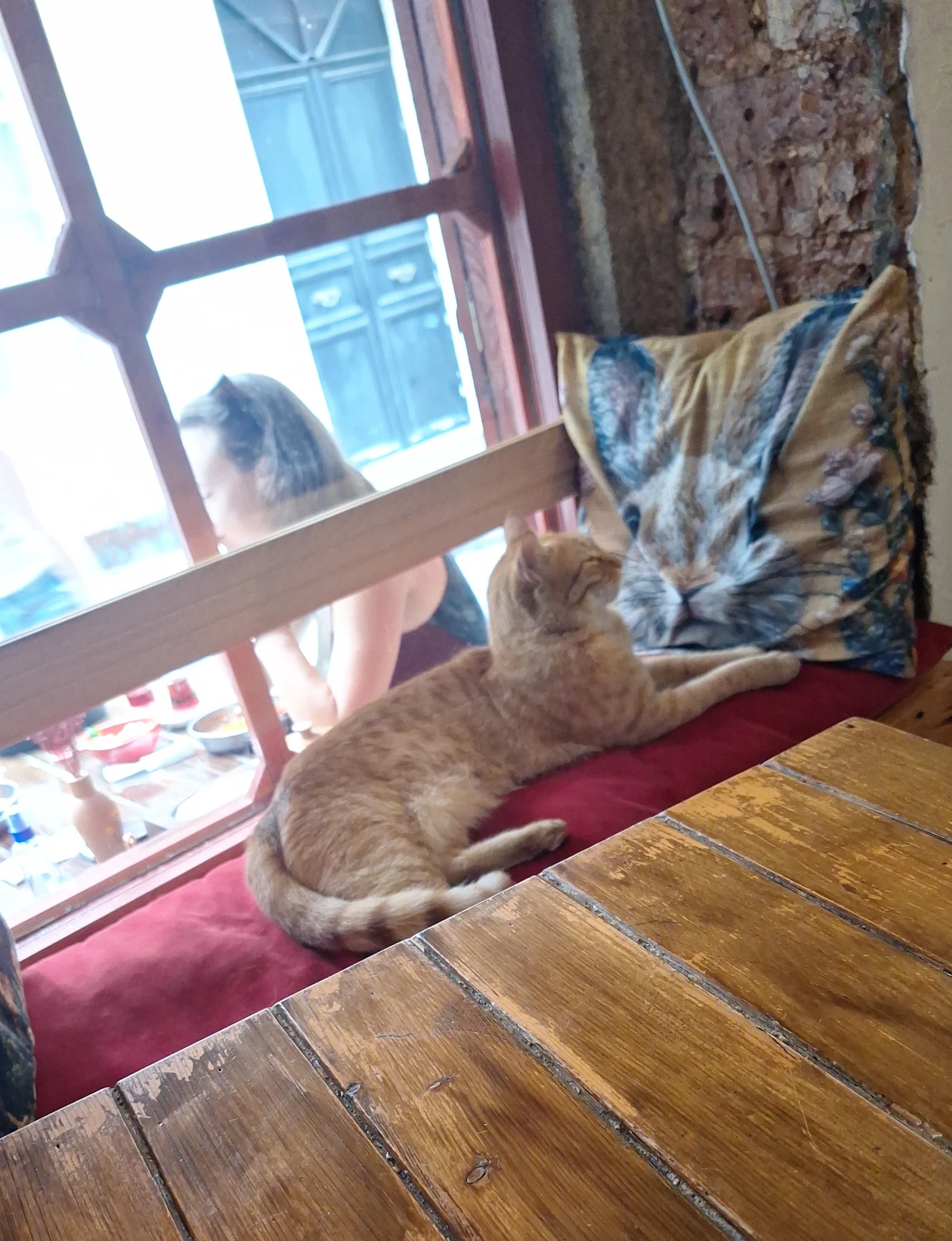 Güneş resting by the window